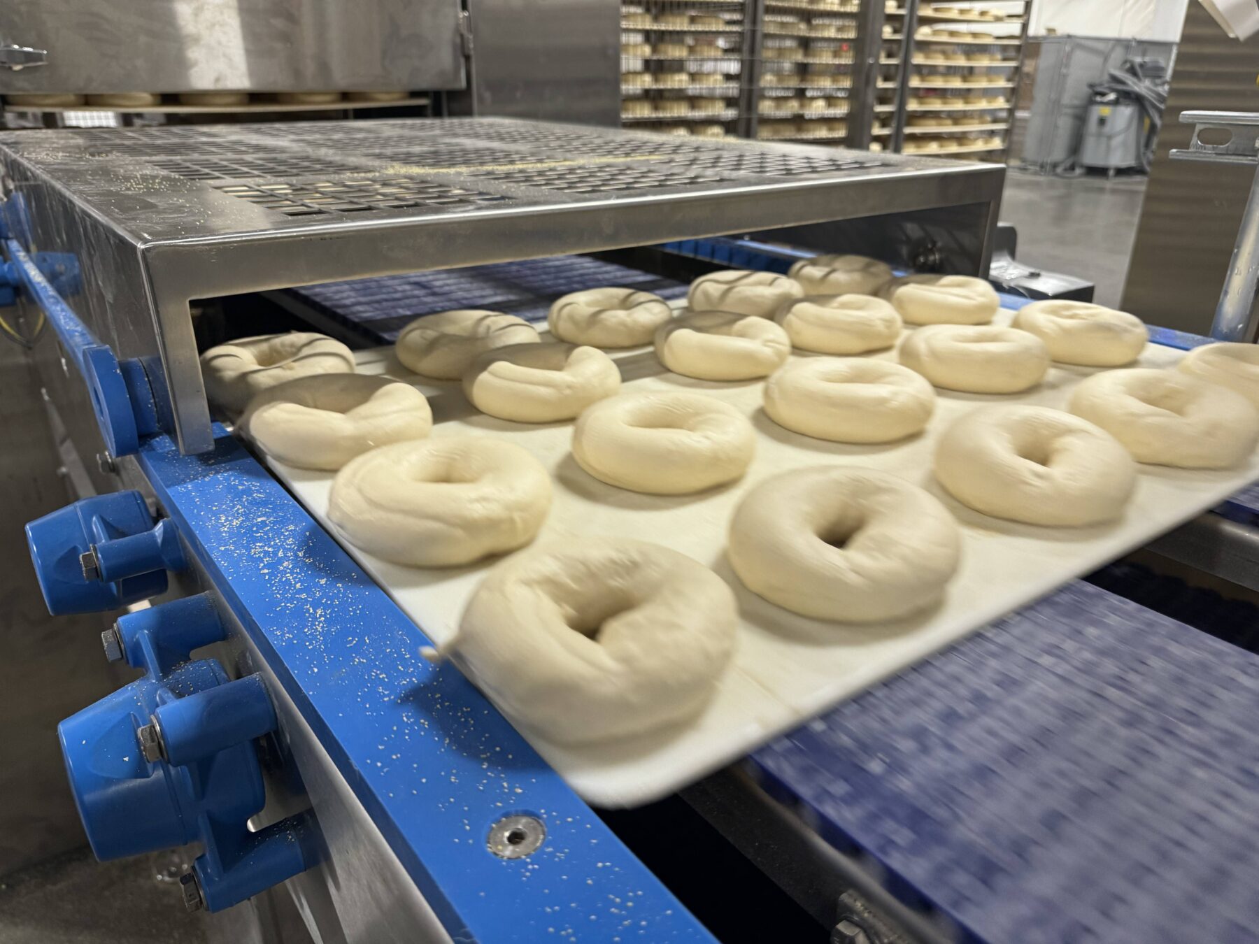 baktek bakery equipment