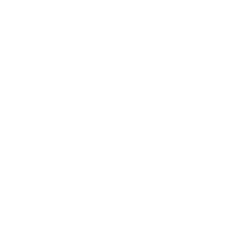 Tesla Logo